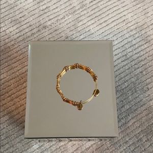 Bamboo Alex and Ani